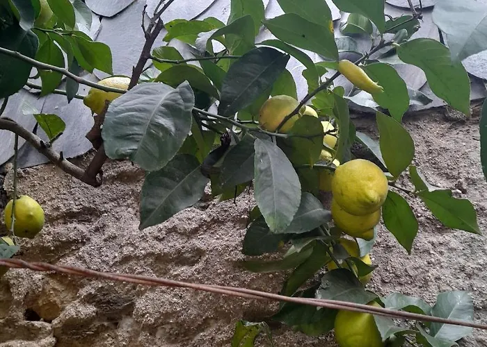 Dom wakacyjny Brunhedo2