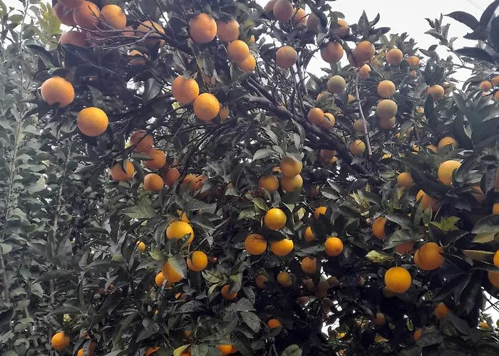 Brunhedo2 Dom wakacyjny *